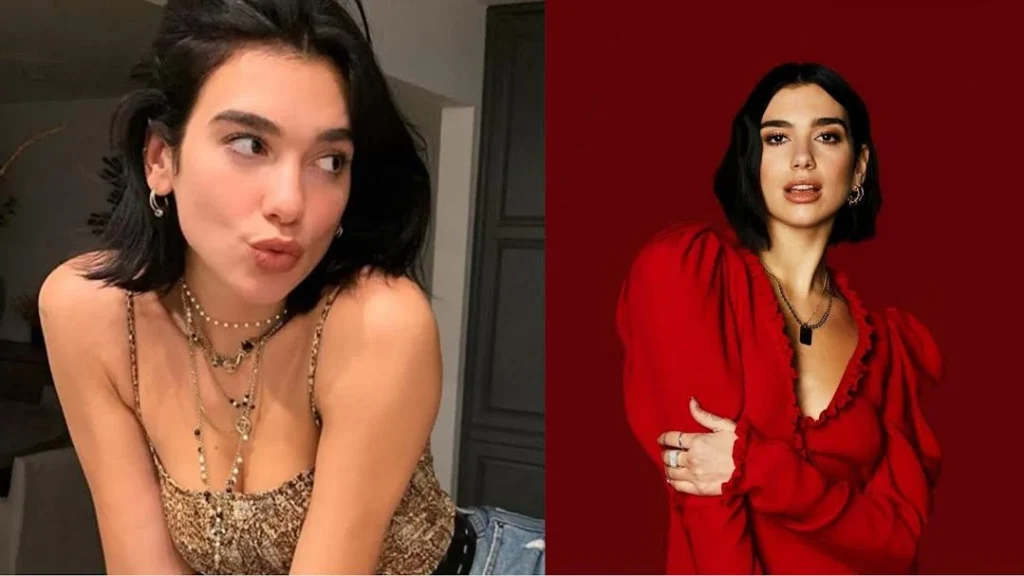Dua Lipa Badshah Controversy